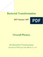Bacterial Transformation Presentation