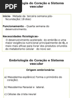 Resumo Embrio Vascular e Coração