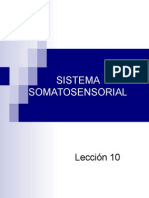 Lección 10 Sistema Somatosensorial (1)