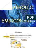 Desarrollo embrionario extrasuperexelente