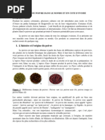 Download ACTUALITE DU POIVRE EN COTE D-1pdf by ahiwa SN257997172 doc pdf