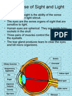 Our Sense of Sight: The Structure and Function of the Human Eye