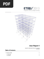 User Report 1: 1. Structure Data