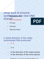 What Kind of Enzyme Synthesizes The New DNA Strand?: RNA Polymerase