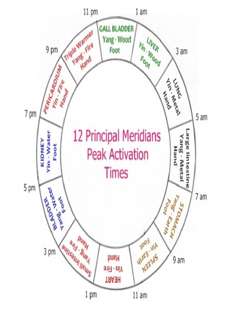 Ceasul Circadian | PDF