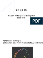 Siklus Sel