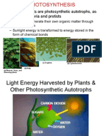 BIO Photosynthesis9
