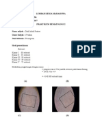 Praktikum Penghitungan Sel Darah