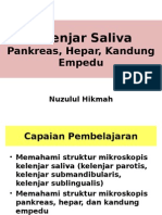 Kelenjar Saliva, Pankreas, Hepar Dan Kandung Empedu