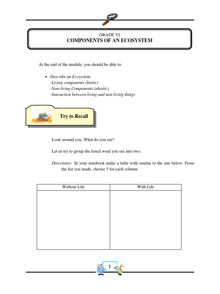 Understanding Ecosystem Components | PDF | Ecosystem | Forests