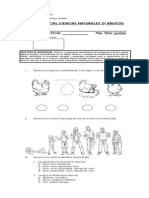 Prueba Parcial Segundo Básico Ciencias Naturales