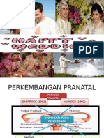 Perkembangan Pranatal