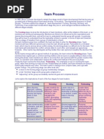 Download Team Process by self SN258053 doc pdf