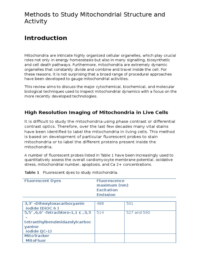 Mitochondria Lab Report