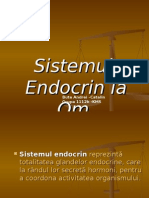 Bute Andrei - Sistemul Endocrin (Bun)