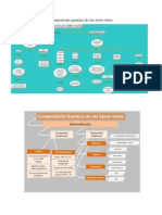 Composición Química de Los Seres Vivos