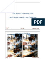 Lab Report Comments 2014 Lab I: Bovine Heart & Lung Dissection