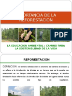 Diapositivas Reforestacion