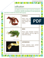 Animal Classification 2nd Grade