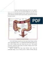 Css CA Colorectal