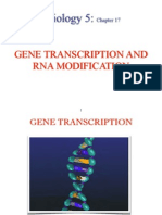 2014 Transcription Biology 5