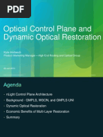 Optical Control Plane and Dynamic Optical Restoration