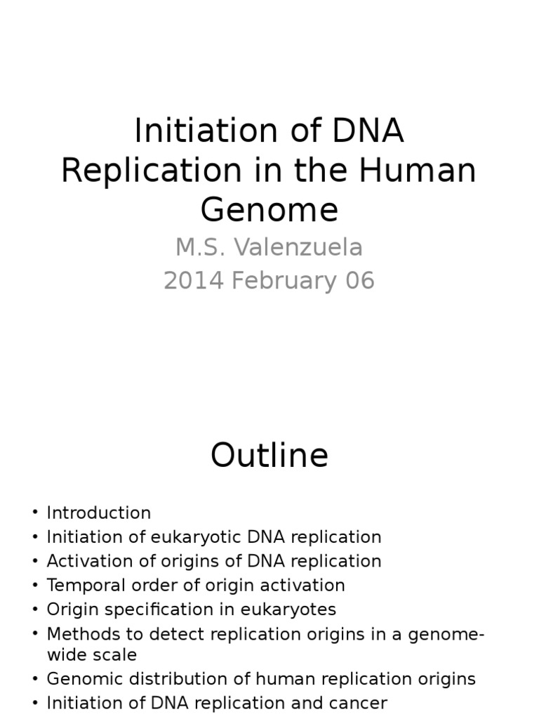 Initiation of DNA Replication in The Human Genome by | PDF | Self ...