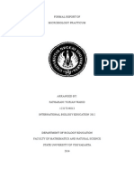 Formal Report of Microbiology Practicum