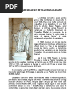 Palatul Versailles in Epoca Regelui