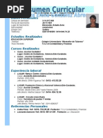 FORMATO MODELO EJEMPLO DE RESUMEN CURRICULAR PARA RELLENARLO