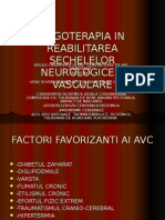 c3- An.ii.Ergoterapia in Reabilitarea Sechelelor Neurologice Vasculare