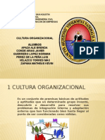 Cultura Organizacional