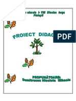 4 proiecte bune.doc