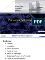 PRESIONES DE FORMACIÓN