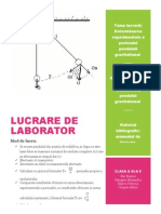 Lucrare de Laborator