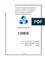 VN National University HCMC Cider Fermentation Report