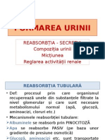 Reabsorbție, Secreție urinară, micțiune,  reglare.pptx