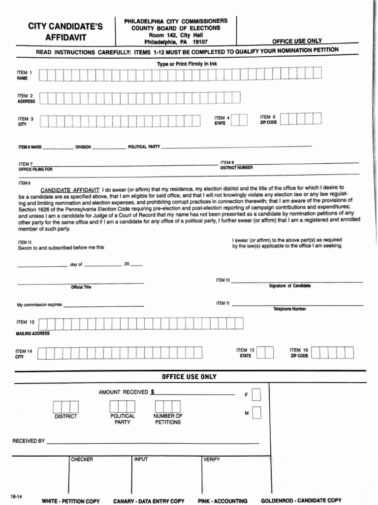 How To Run For Mayor Forms PDF PDF Loans Credit (Finance)