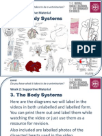 The Body Systems: Week 2: Supportive Material