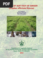 Download Soft Rot of Ginger by Isroicom SN258195347 doc pdf