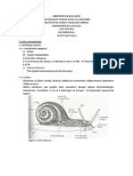 Morfologia de moluscos da Amazônia