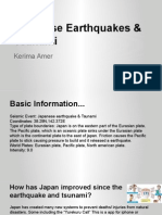 Kerima Amer Earthquake Project