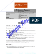 Due Diligence Report Sample