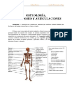 Sistema Oseo y Articulaciones