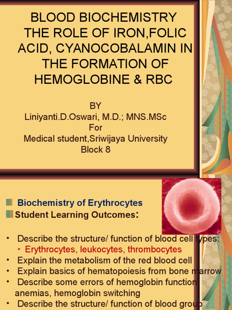 Biochemistry Blood Anemia Vitamin B12
