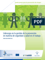 Liderazgo en La Gestion de La Prevencion en Materia de Salud y Seguridad en El Trabajo 2014 Una Guia Practica