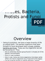 Viruses, Bacteria, Protists and Fungi: Module Two: Life at A Molecular, Cellular and Tissue Level Paper One