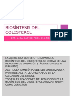 Biosintesis Del Colesterol