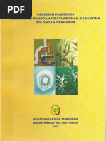 Download pedoman diagnosis cendawanpdf by Triani Pardosi SN258218811 doc pdf