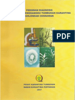 Pedoman Diagnosis Cendawan PDF